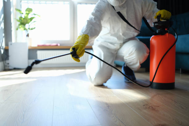 Reliable Infectious Disease Decontamination contractor in Simla, CO by Crime Scene Cleaner Online